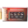 HORNADY CAL .243 WIN, SUPERFORMANCE - 6GRAMMES