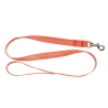 LAISSE 1,20 M SANGLE ORANGE FLUO POUR CHIEN - COUNTRY