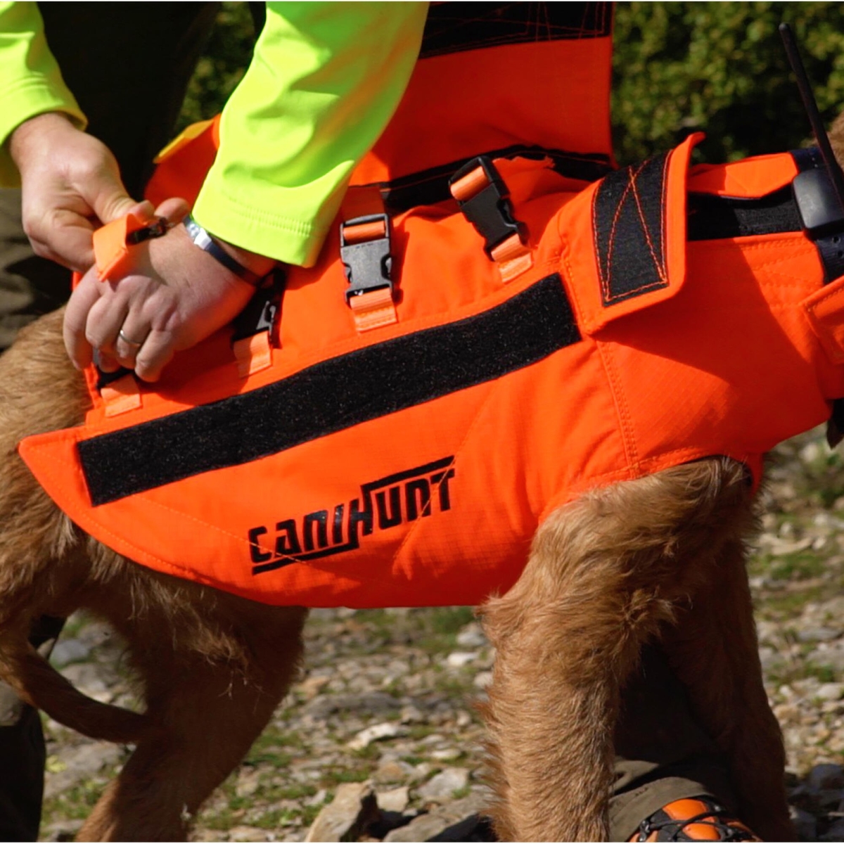 GILET DE PROTECTION DOG ARMOR V2